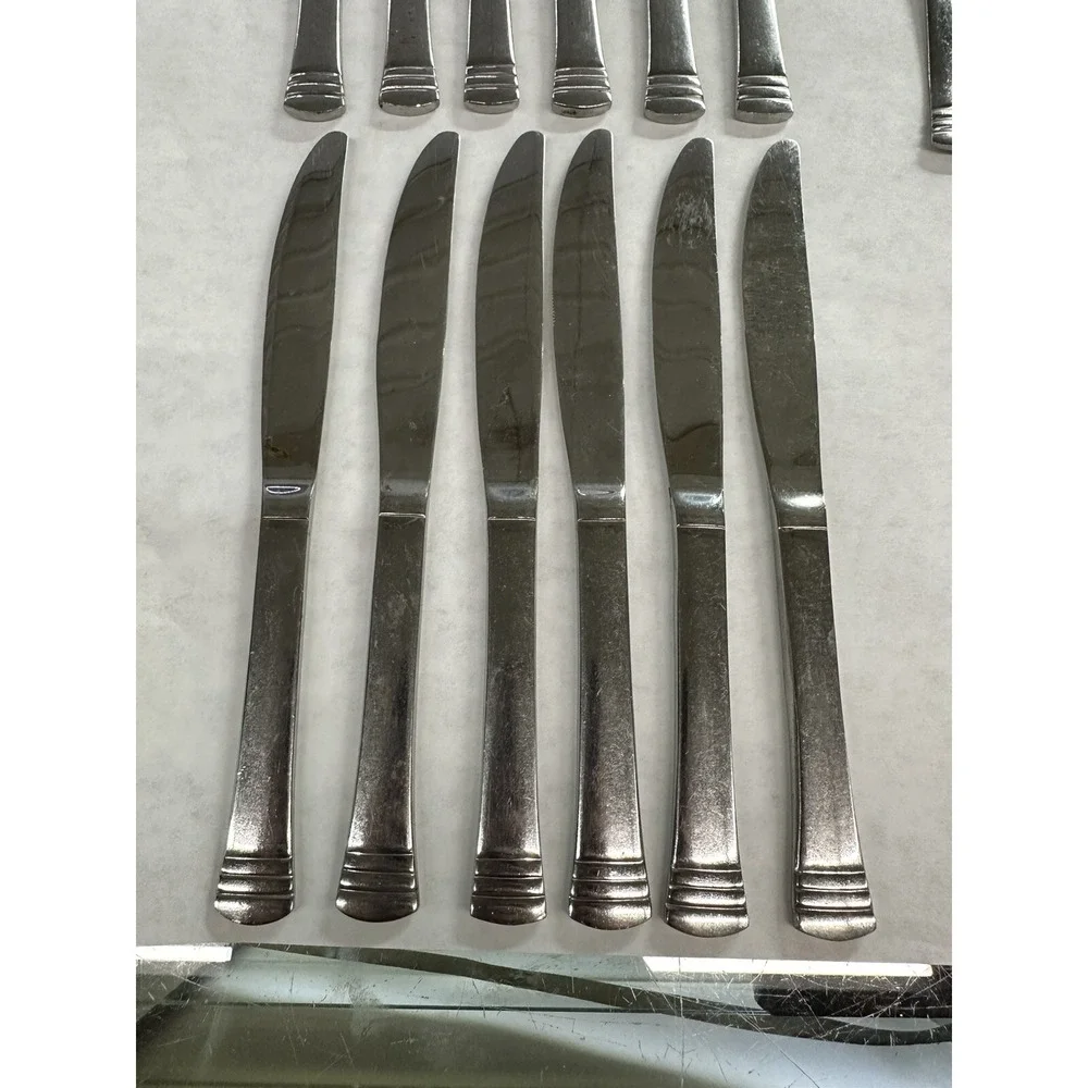 Cambridge Stainless China Codie 41 Pc‎ Flatware Set